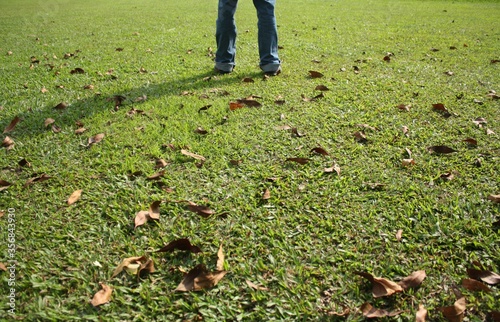 Fallen leaves laying on the green grass at Taman Bunga Nusantara, Cianjur, West Java, Indonesia. photo