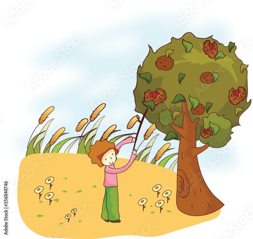 boy plucking fruit with stick