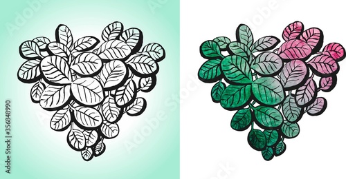 The concept of love by plants. Fit near. Hand drawing. It can be an icon or logo. vector.