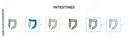 Intestines vector icon in 6 different modern styles. Black, two colored intestines icons designed in filled, outline, line and stroke style. Vector illustration can be used for web, mobile, ui