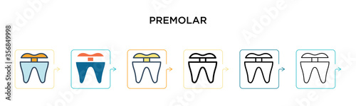 Premolar vector icon in 6 different modern styles. Black, two colored premolar icons designed in filled, outline, line and stroke style. Vector illustration can be used for web, mobile, ui photo