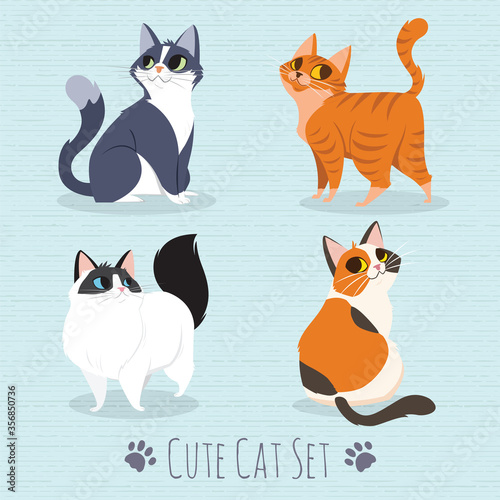 Cats Breed Set
