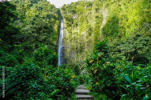 Waimoku Wasserfälle an der Road to Hana (Maui, Hawaii)