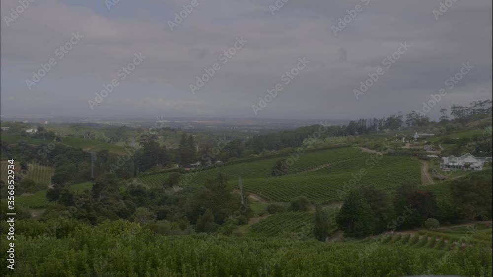 Time lapse of vineyard with grapevines and mountains while cluds are passing by overlooking Stellenbosch and Constantia in Cape Town South Africa. Time lapse of vineyard with grapevines and mountains while cluds are passing by overlooking Stellenbosch and Constantia in Cape Town South Africa.
