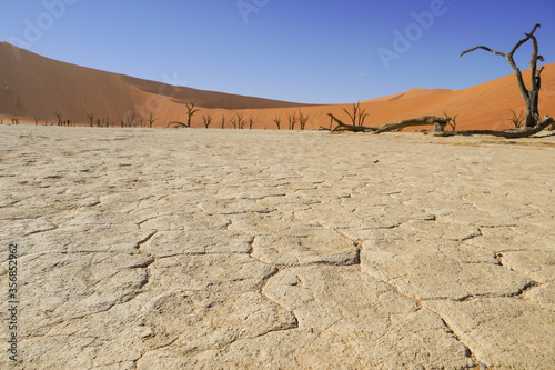 Dead Vlei Salztonpfanne in Namibia