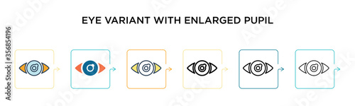 Eye variant with enlarged pupil vector icon in 6 different modern styles. Black, two colored eye variant with enlarged pupil icons designed in filled, outline, line and stroke style. Vector