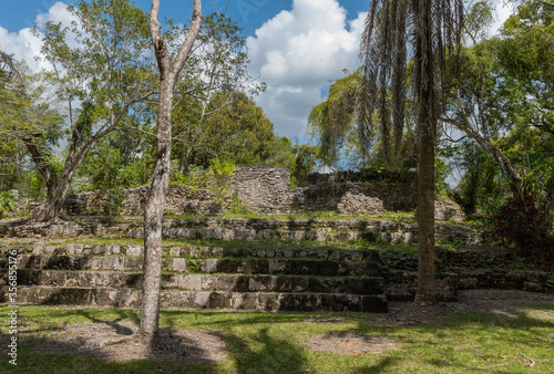 The ruins of the ancient Mayan city of Kohunlich  Quintana Roo  Mexico