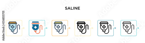 Saline vector icon in 6 different modern styles. Black, two colored saline icons designed in filled, outline, line and stroke style. Vector illustration can be used for web, mobile, ui
