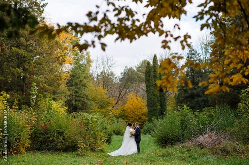 The bride and groom on the background of the autumn park.