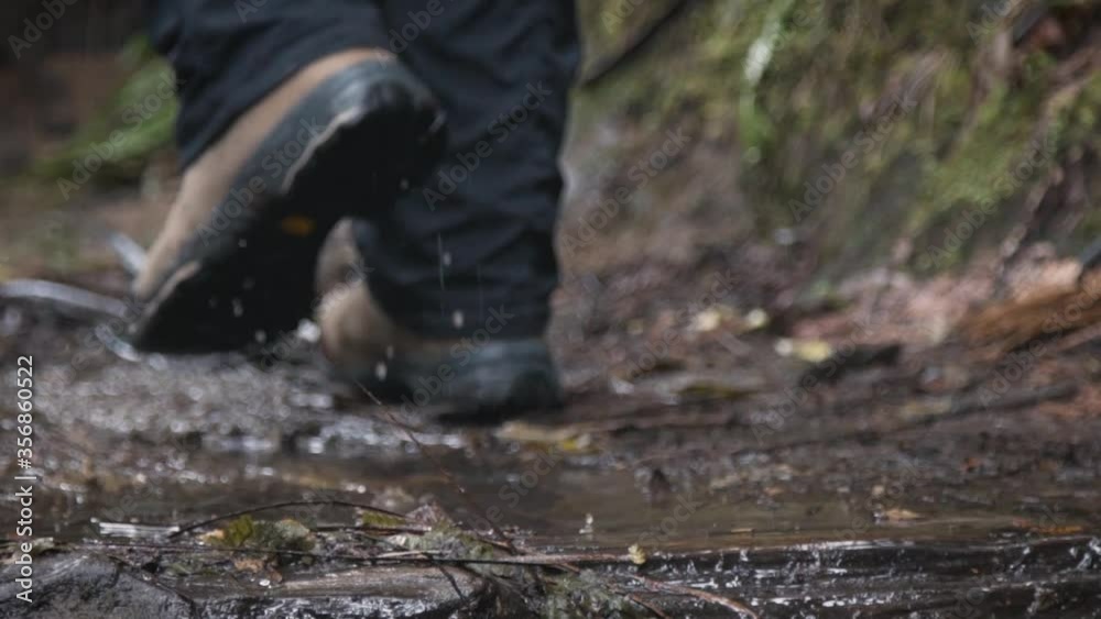Female hiker walking through puddle on muddy trail in slow motion. Nature hike, splashing through water puddle after rain Female hiker walking through puddle on muddy trail in slow motion. Nature hike, splashing through water puddle after rain