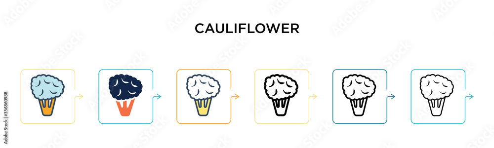 Cauliflower vector icon in 6 different modern styles. Black, two colored cauliflower icons designed in filled, outline, line and stroke style. Vector illustration can be used for web, mobile, ui Cauliflower vector icon in 6 different modern styles. Black, two colored cauliflower icons designed in filled, outline, line and stroke style. Vector illustration can be used for web, mobile, ui