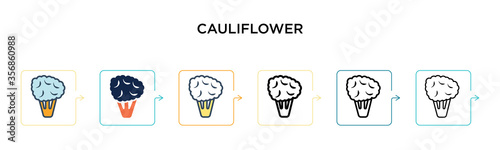 Cauliflower vector icon in 6 different modern styles. Black  two colored cauliflower icons designed in filled  outline  line and stroke style. Vector illustration can be used for web  mobile  ui