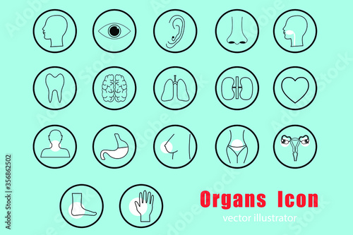 Simple set of Human organs icon related vector icon.