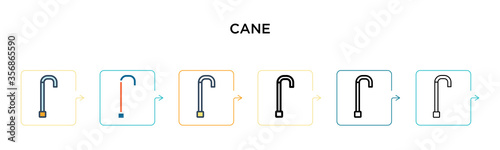 Cane vector icon in 6 different modern styles. Black, two colored cane icons designed in filled, outline, line and stroke style. Vector illustration can be used for web, mobile, ui