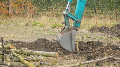 Wallpaper Mural excavator digs the roots of old trees Torontodigital.ca