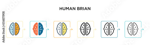 Human brian vector icon in 6 different modern styles. Black, two colored human brian icons designed in filled, outline, line and stroke style. Vector illustration can be used for web, mobile, ui
