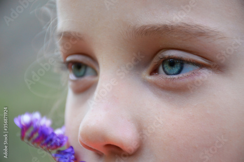 eyes of a girl close-up. turquoise eye color. near the cheeks, blurred silhouette of a wild flower