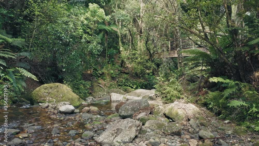 Aerial flying through tropical native bush and river. Wentworth Valley, Coromandel Peninsula, New Zealand Aerial flying through tropical native bush and river. Wentworth Valley, Coromandel Peninsula, New Zealand