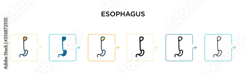 Esophagus vector icon in 6 different modern styles. Black, two colored esophagus icons designed in filled, outline, line and stroke style. Vector illustration can be used for web, mobile, ui