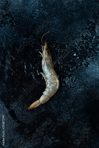 Raw king shrimp in a shell with ice on a concrete background  top view