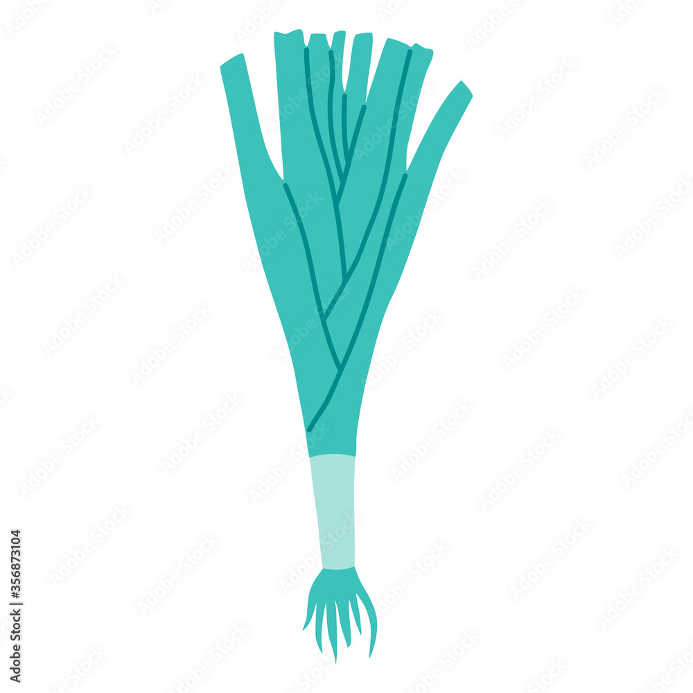Whole fresh leek. Vector illustration flat cartoon style isolated on white background. Whole fresh leek. Vector illustration flat cartoon style isolated on white background.
