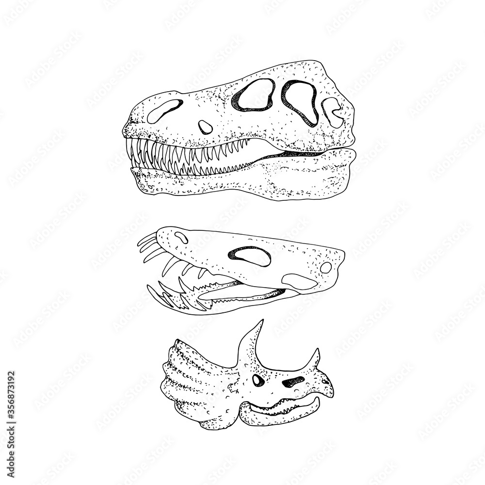 Print with a funny character. Print with a dinosaur skull. Print with a funny character. Print with a dinosaur skull.