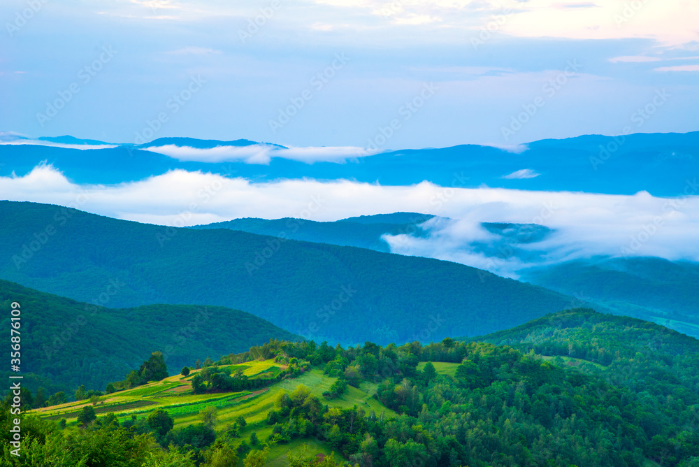 green meadow on trees and mountains in the fog and sky .Beautiful landscape in the Carpathians.