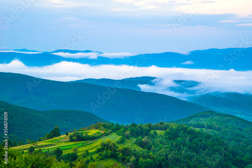 green meadow on trees and mountains in the fog and sky .Beautiful landscape in the Carpathians.