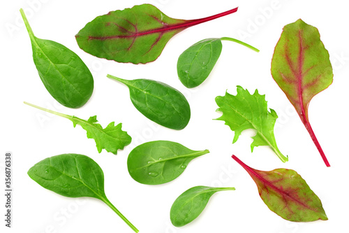 Mix of different salads isolated on white background. top view