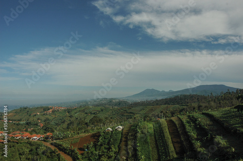 Top view of plantation with mountainous background.