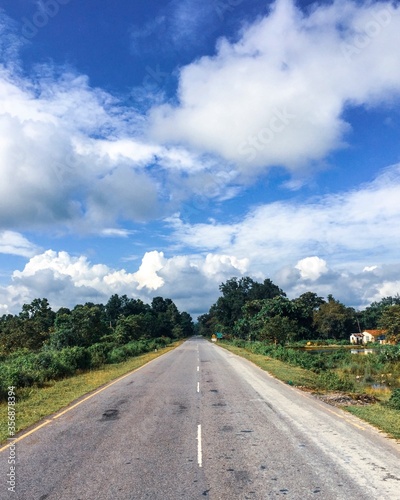 The journey towards the mountains in Assam (ID: 356878394)