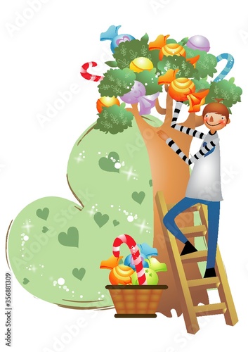 boy plucking candies from tree