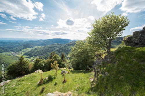 landscape in the black forest in germany at belchen which is 1414m high. photo