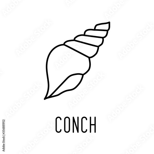 Conch line icon. Vector ill...