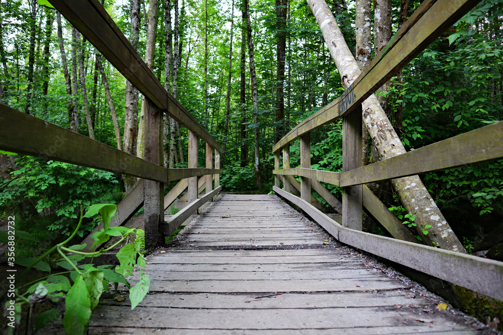 Beautiful nature of British Columbia Beautiful nature of British Columbia