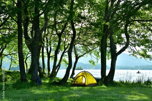 森と湖畔のキャンプ 