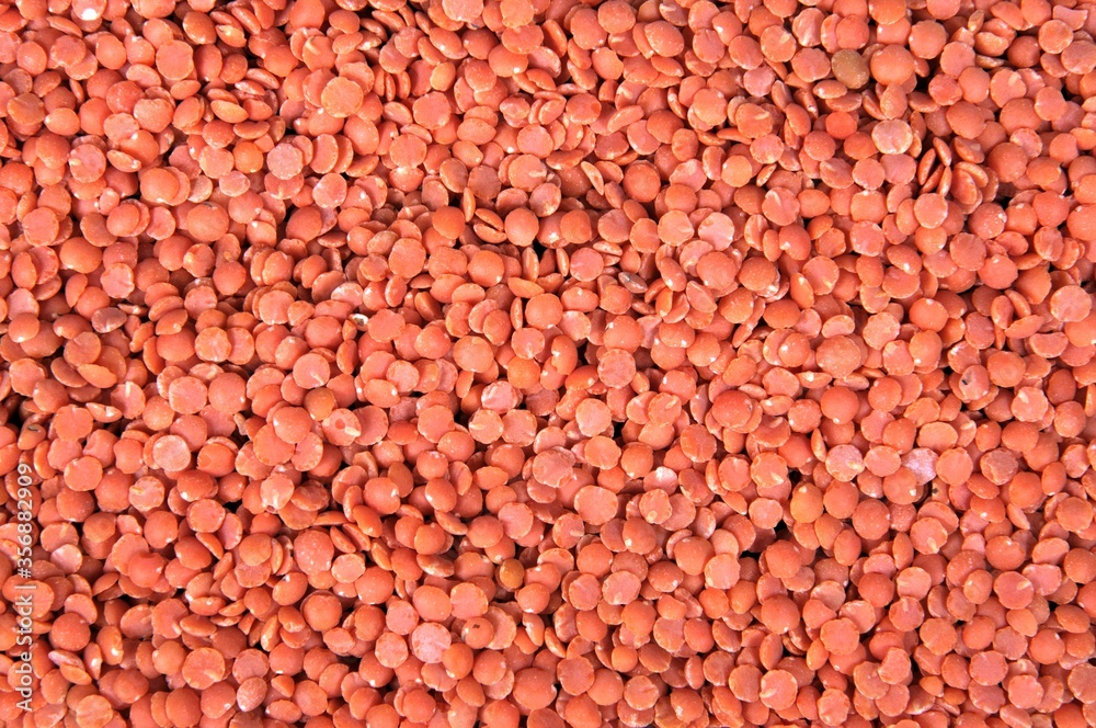 Raw red lentils food background Raw red lentils food background