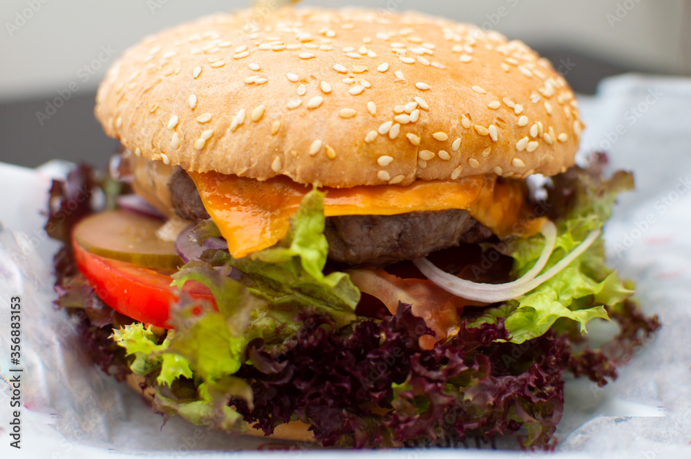 Close up photo of homemade hamburger with fresh vegetables, melted cheese on white paper. Food delivery, restaurant, cafe illustration. Close up photo of homemade hamburger with fresh vegetables, melted cheese on white paper. Food delivery, restaurant, cafe illustration.