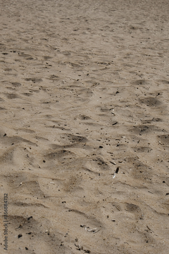 sand texture on the beach
sand texture on the beach