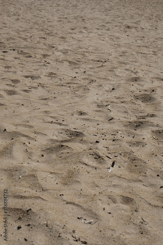  sand texture on the beach