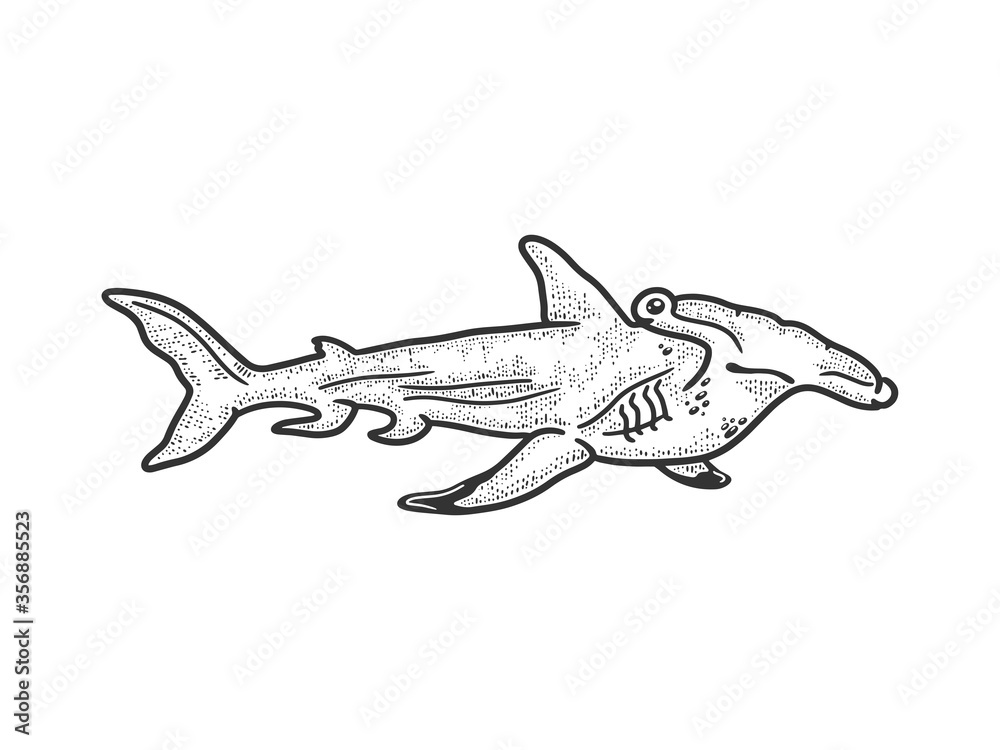 Hammerhead shark sketch raster illustration Stock Illustration Adobe