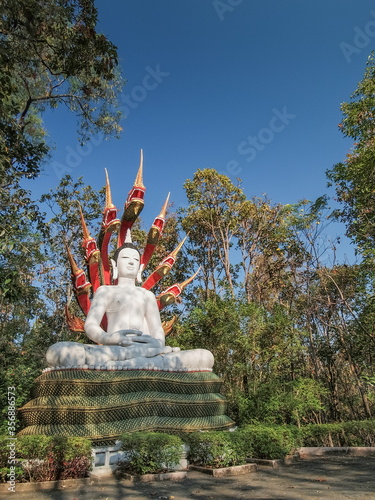 view of big white buddha sculpture sitting under Naga or Phayanak (dragon in chinese) around with green forest and blue sky background, Wat Analayo, Phayao Province, northern of Thailand. photo