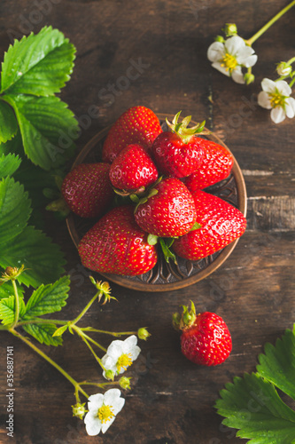 strawberry  ripe  food  berry  background  antioxidant  agriculture  bowl  banner  closeup  delicious  dessert  eating  farm  fresh  freshness  fruit  garden  gourmet  green  group  harvest  health  h