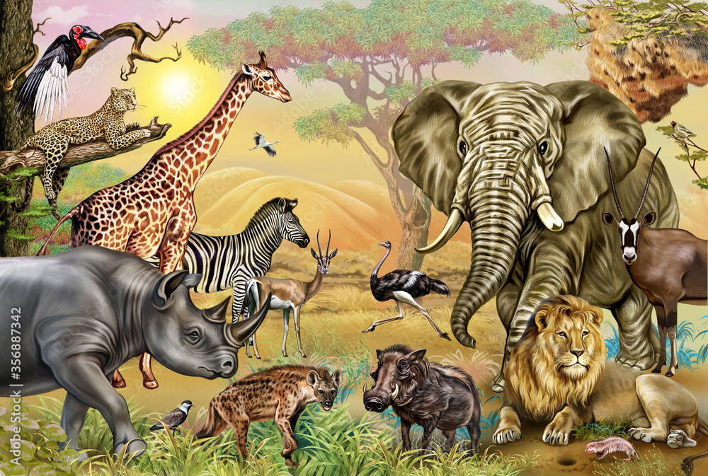 African savannah animals Stock Illustration | Adobe Stock