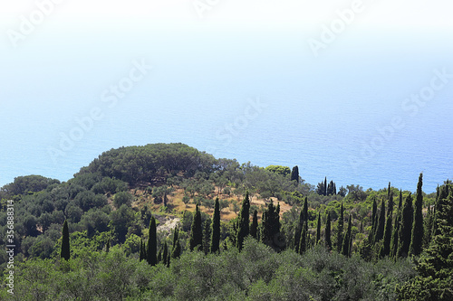 cypress landscape greece panoramic view summer weather vacation