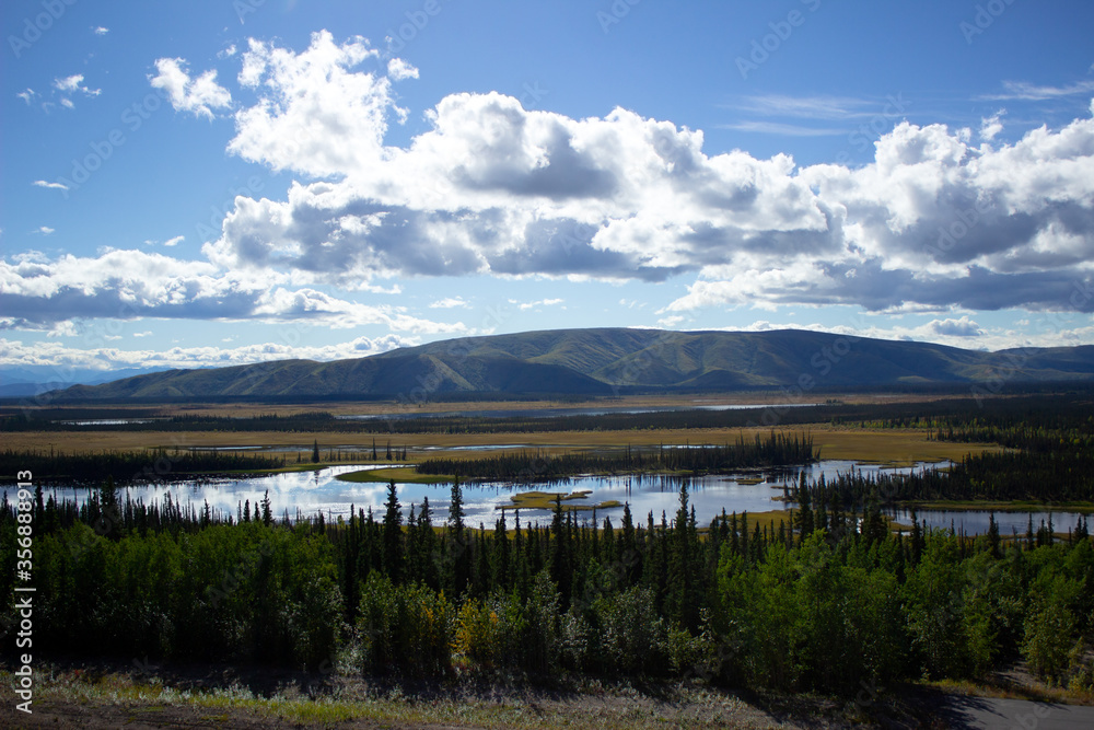 アラスカ、夏に水が染み出す湿地帯