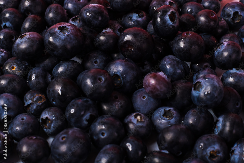 close up of blueberries in a studio close up of blueberries in a studio