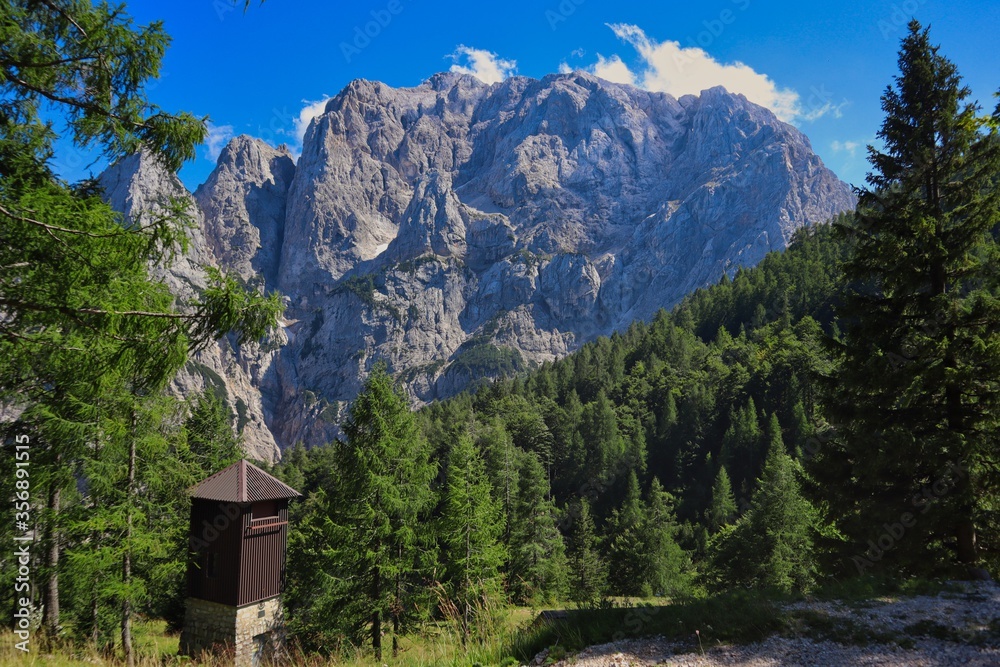 Mountain View at Julian Alps in Triglav National Park. Green Forest with Hunter Hut in Slovenia.