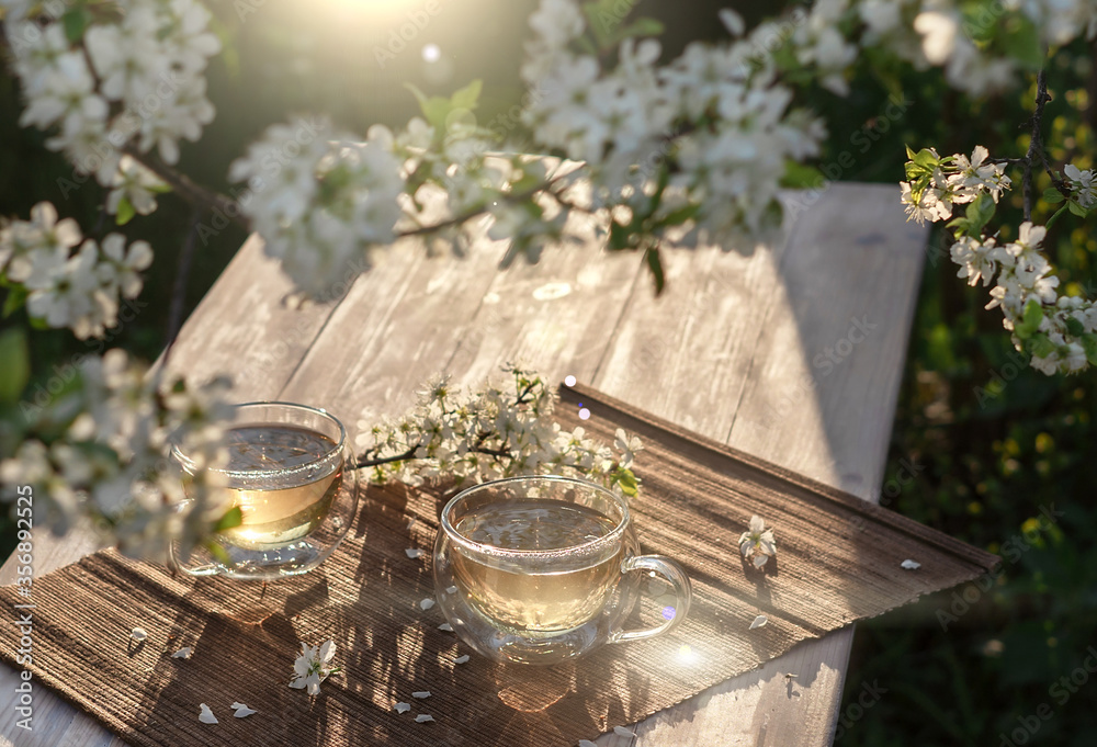 Fototapeta premium Two beautiful glass cups with green tea decorated with white cherry flowers on wooden table in spring garden in setting sun light. Top view.