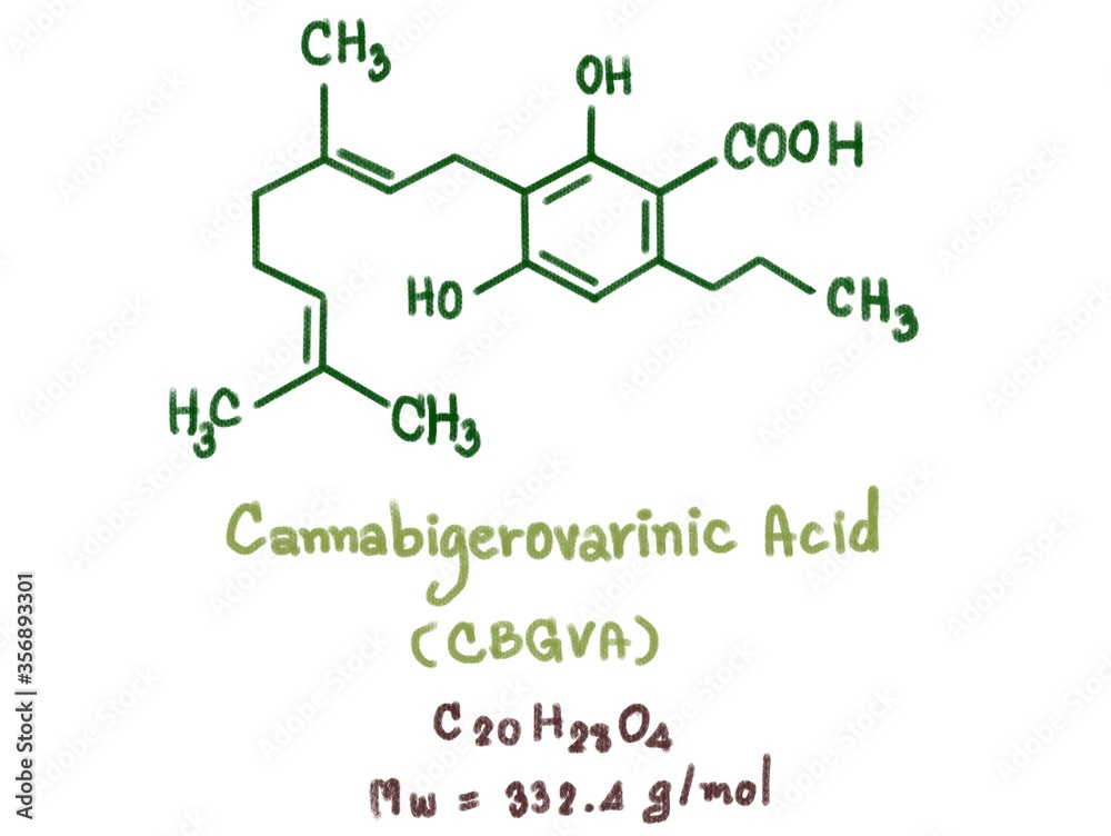 chemical structure of dna chemical structure of dna